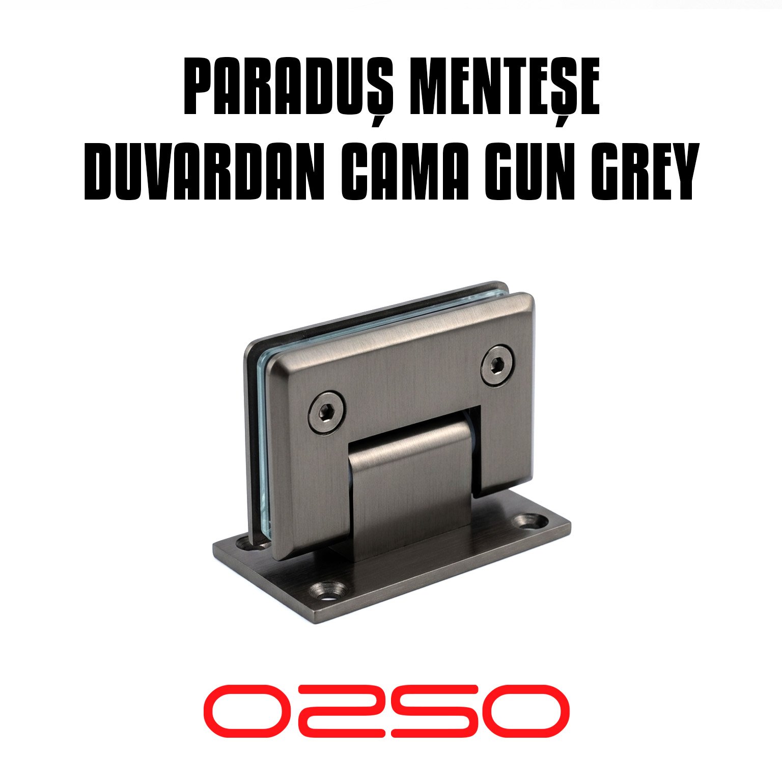 Cam Duvar Paraduş Menteşe